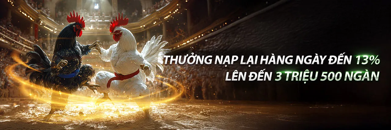 Bắt Đầu Hành Trình Cá Cược Của Bạn Với 97win